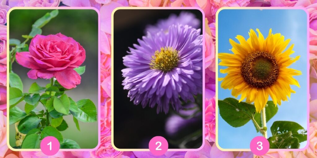 Test della personalità: Svela la tua essenza interna scegliendo uno dei 3 fiori nell'immagine!